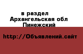  в раздел :  . Архангельская обл.,Пинежский 